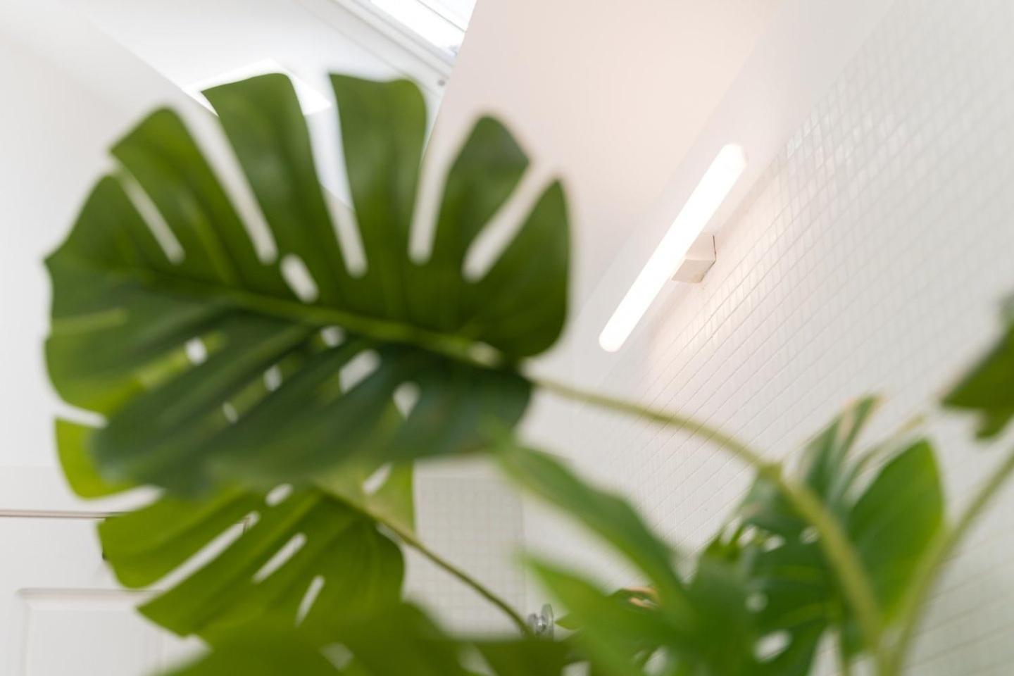 Guestready - Spacious And Modern Apt W/ Skylight Porto Eksteriør billede