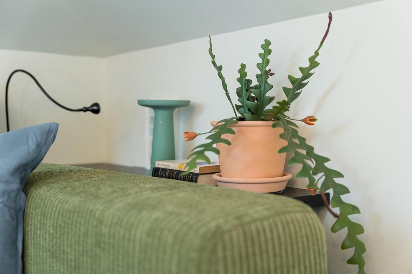 Guestready - Spacious And Modern Apt W/ Skylight Porto Eksteriør billede